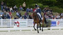 Concours International Officiel de dressage